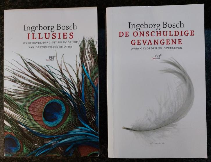 Illusies; De onschuldige gevangene Ingeborg Bosch, Boeken, Psychologie, Gelezen, Ophalen of Verzenden