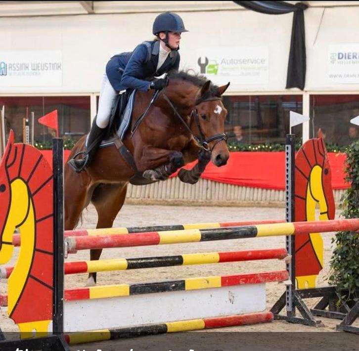 Te koop gezond springpaard en gezocht een stalhulp, Dieren en Toebehoren, Paarden, Merrie, B, 160 tot 165 cm, 3 tot 6 jaar, Springpaard