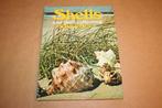 Boek: Shells and Shell Collecting