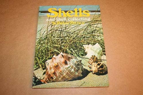 Boek: Shells and Shell Collecting, Verzamelen, Mineralen en Fossielen, Schelp(en), Ophalen of Verzenden