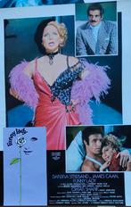 film affiche Funny lady Barbara Streisand 1968, Verzamelen, Posters, Gebruikt, Ophalen of Verzenden, A1 t/m A3, Film en Tv
