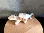 Nieuw Prenatal Draakje Knuffel Draak Prenatal, ., Overige typen, Nieuw, Ophalen of Verzenden