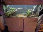 Aquarium EHEIM Vivaline LED 240, Dieren en Toebehoren, Vissen | Aquaria en Toebehoren, Ophalen, Gebruikt, Leeg aquarium