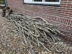 Haardhout Kastanje +/- 4 m3, Tuin en Terras, Haardhout, Minder dan 3 m³, Ophalen, Overige houtsoorten, Takken