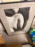 Poster, Ophalen of Verzenden, Zo goed als nieuw, Kunststof, Minder dan 50 cm