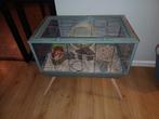 Hamsterkooi groen met houten poten incl. Acc, Dieren en Toebehoren, Ophalen, Kooi, 60 tot 90 cm, Zo goed als nieuw