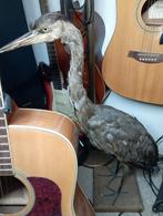 opgezette reiger, Ophalen of Verzenden