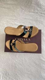 Carvela Zomer Hakken Maat 39, Ophalen, Pumps, Zwart, Zo goed als nieuw