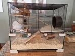 Hamsterkooi, Ophalen, Minder dan 75 cm, Kooi, Minder dan 60 cm