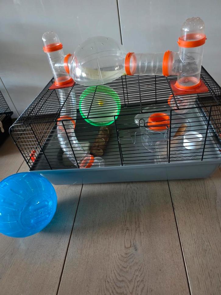 Hamsterkooi hamsterverblijf verblijf kooi, Dieren en Toebehoren, Knaagdieren en Konijnen | Hokken en Kooien, Gebruikt, Kooi, Minder dan 60 cm