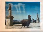 Carel Willink G.I.N.editie 6 zeefdrukken 1979, Ophalen