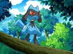Gezocht: Riolu pokemon kaarten, Ophalen of Verzenden, Meerdere kaarten