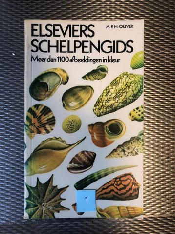 Schelpen boeken beschikbaar voor biedingen