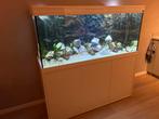 Prachtig Aqualantis aquarium 151x50x60, Dieren en Toebehoren, Ophalen, Zo goed als nieuw, Leeg aquarium