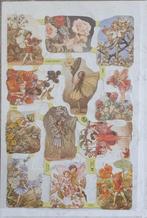 Poezieplaatjes Flower Fairies Cicely Mary Barker, Ophalen of Verzenden
