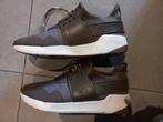 Timberland schoenen, Ophalen of Verzenden, Zo goed als nieuw