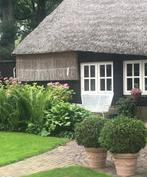 Verhuur vakantiehuis, In bos, Internet, Dorp, 1 slaapkamer