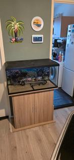 Juwel aqarium 80 cm, Ophalen, Zo goed als nieuw, Leeg aquarium