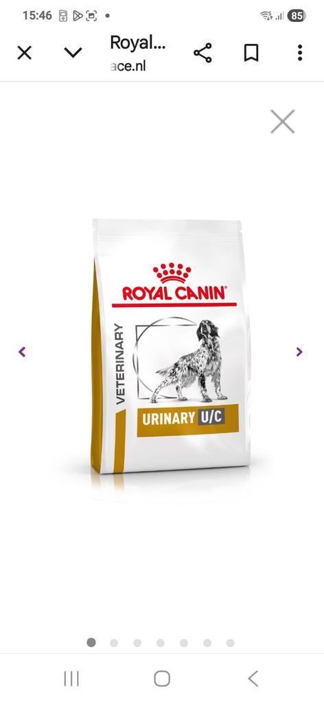 Royal canin urinary s/o, Dieren en Toebehoren, Dierenvoeding, Hond, Ophalen