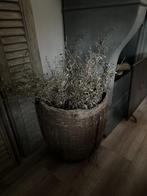 Kunst corokia takken, Huis en Inrichting, Ophalen of Verzenden, Nieuw
