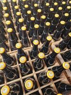 Westvleteren 12, Nieuw, Overige merken, Flesje(s), Ophalen