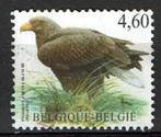 4,60€ Zeearend Buzin 2009 (OBP 3871 ), Postzegels en Munten, Postzegels | Europa | België, Ophalen of Verzenden, Gestempeld