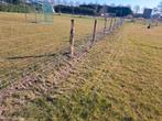 Schapengaas,Wolvengaas,Alpacagaas,Geitengaas Stroomdaad, Ophalen of Verzenden, Nieuw, 20 meter of meer, Gaas