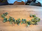 Mooi decoratieve  slingers - eucalyptus bladeren, Ophalen of Verzenden, Nieuw, Versiering, Geboorte of Huwelijk