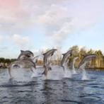 Dolfinarium voor € 19,49 per persoon, Tickets en Kaartjes, Twee personen, Kortingsbon