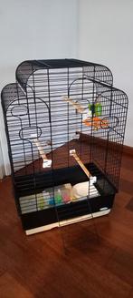 Vogelkooi Ferplast 75x49x29, Dieren en Toebehoren, Vogels | Hokken en Kooien, Ophalen of Verzenden, Gebruikt, Metaal, Vogelkooi