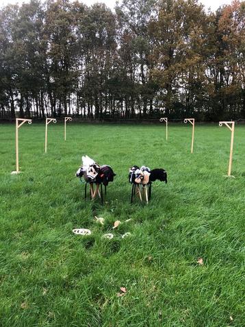 Kinderfeestjes paarden ringsteken hobby horses beschikbaar voor biedingen