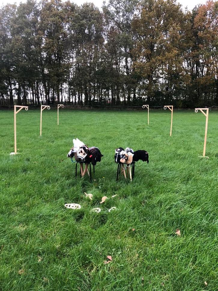 Kinderfeestjes paarden ringsteken hobby horses, Kinderen en Baby's, Speelgoed | Buiten | Los speelgoed, Nieuw, Ophalen