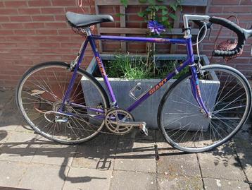 wielrenfiets beschikbaar voor biedingen