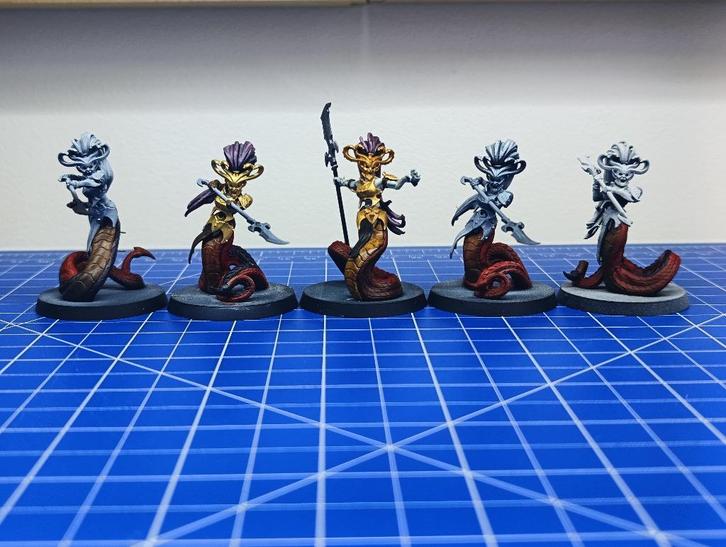Warhammer Age of Sigmar Blood Sisters Set 2, Hobby en Vrije tijd, Wargaming, Gebruikt, Warhammer, Figuurtje(s), Ophalen of Verzenden