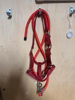 Halster pony, Ophalen of Verzenden, Zo goed als nieuw, Overige soorten