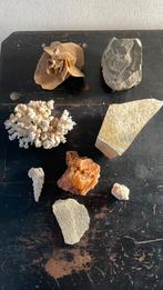 Mineralen en fossielen, Verzamelen, Mineralen en Fossielen, Ophalen of Verzenden