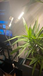 felle kweeklamp zgan!, Tuin en Terras, Kweekspullen, Ophalen of Verzenden, Zo goed als nieuw, Kweeklamp