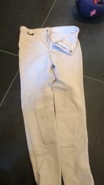 Paardrijbroek wit maat 38, Gebruikt, Dressuur, Ophalen of Verzenden, Dames