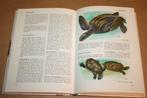 Reptielen en amfibieën der wereld - Hans Hvass, Boeken, Ophalen of Verzenden, Gelezen