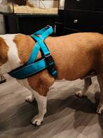 Hunter hondentuig maat XL, Ophalen of Verzenden, Zo goed als nieuw