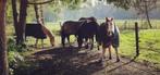 Pensionstalling aangeboden in Emst., Stalling, 1 paard of pony
