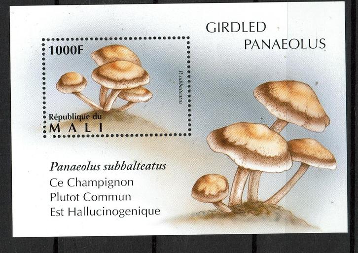 MALI 1996 PF BLOK PADDENSTOELEN MUSHROOMS FLORA, Postzegels en Munten, Postzegels | Thematische zegels, Postfris, Dier of Natuur