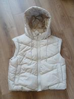 Nieuwe bodywarmer maat 36 dames, Ophalen of Verzenden, Nieuw, Maat 36 (S), Beige