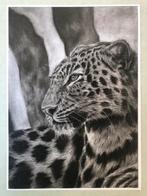 Houtskool tekening luipaard., Ophalen of Verzenden