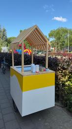 Elektrisch Ijsfiets, Fietsen en Brommers, Ophalen, Zo goed als nieuw, Overige merken, Elektrisch