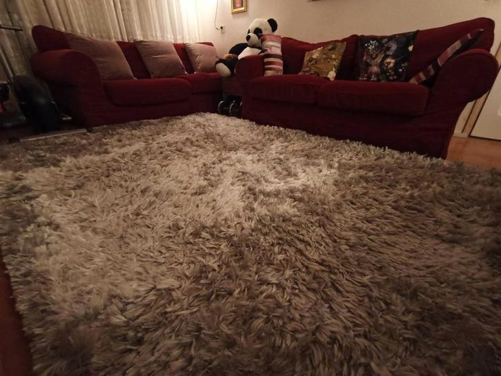 Groot kamervloerkleed, Huis en Inrichting, Stoffering | Tapijten en Kleden, Gebruikt, 200 cm of meer, 200 cm of meer, Rechthoekig