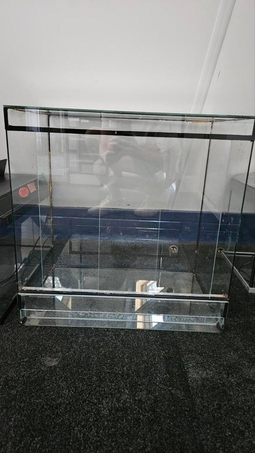 Volglas terrarium 60x40x60 cm, Dieren en Toebehoren, Reptielen en Amfibieën | Toebehoren, Zo goed als nieuw, Terrarium of Paludarium