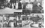Groeten uit De Sterrenberg.  Berg en Dal., Ophalen of Verzenden, 1940 tot 1960, Gelopen, Gelderland
