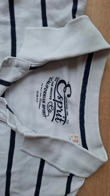 Polo esprit wit blauw gestreept xxl beschikbaar voor biedingen