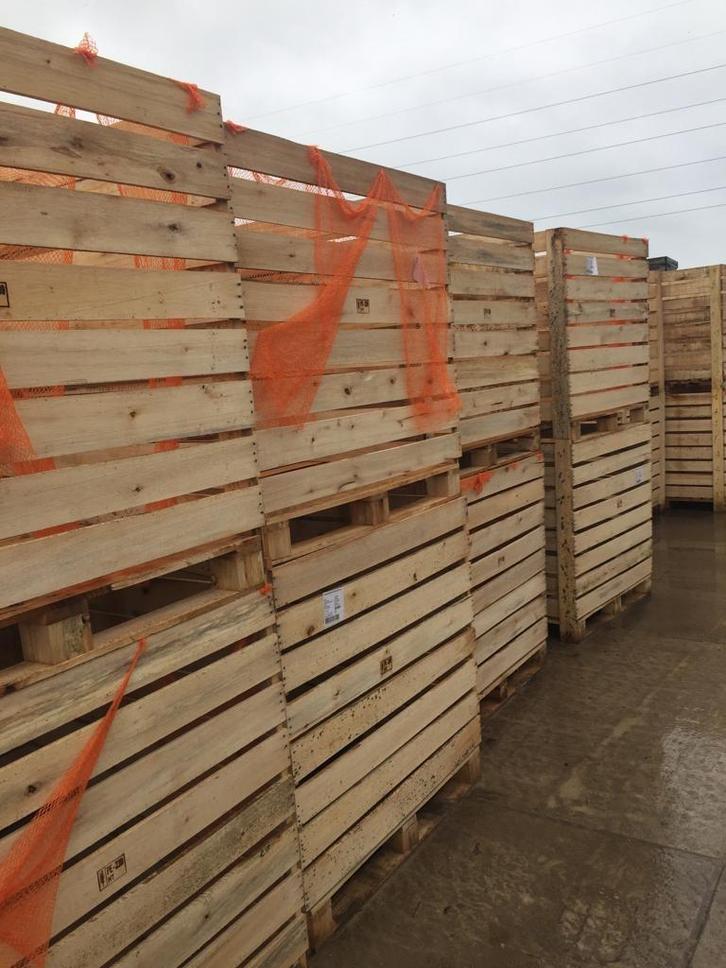 TE KOOP EN TE HUUR  VOORRAADBAKKEN   KISTEN, Zakelijke goederen, Agrarisch | Aardappelen, Groenten, Fruit en Vlees, Ophalen